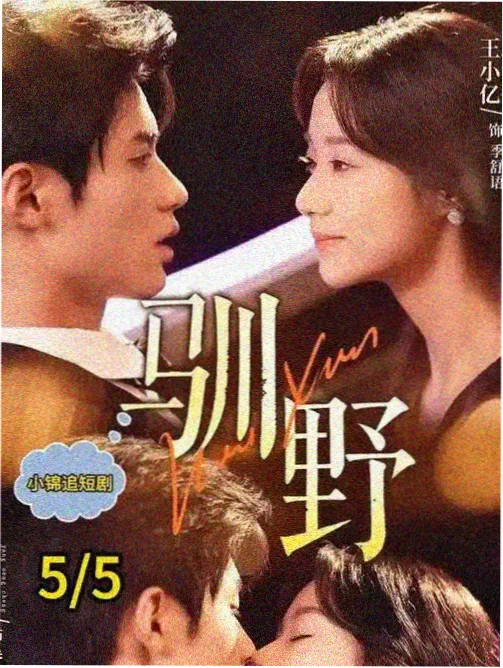 笑傲江湖 - 青柠高清影院免费观看电视剧